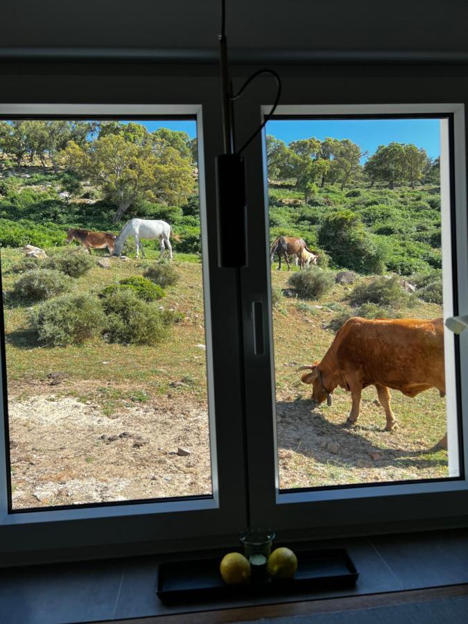 Cortijo Cabrerizas *